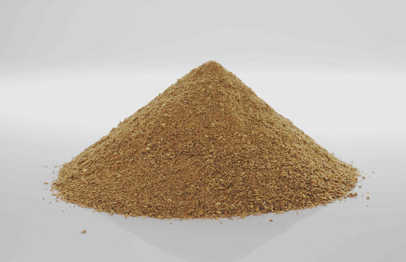 Single Cell Protein HN-01