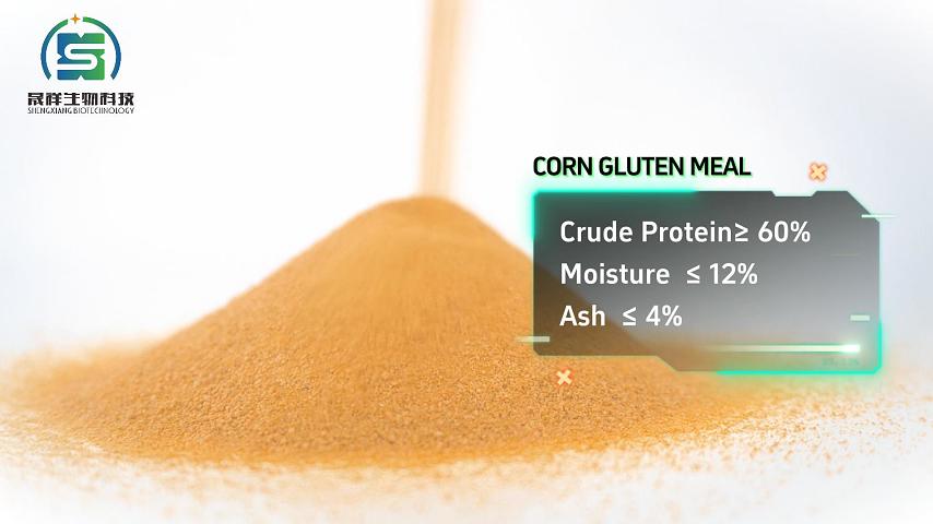 CORN GLUTEN MEAL